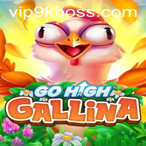 GoHighGallina: Conquer the Heights with 9KBOSS